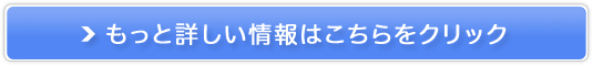 N̓etyJVKC u[X^[Zz̔TCg